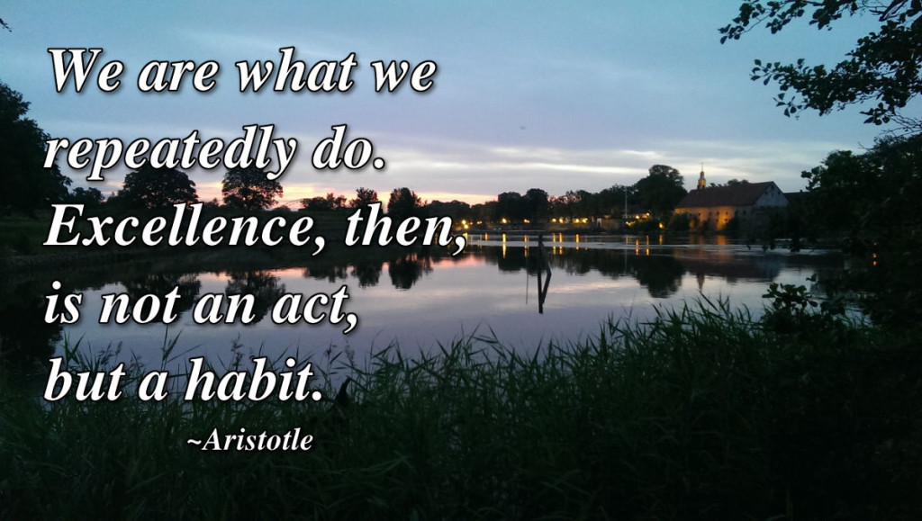 We are what we repeatedly do. Excellence, then, is not an act, but a habit.