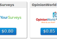 Surveys