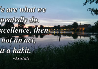 We are what we repeatedly do. Excellence, then, is not an act, but a habit.